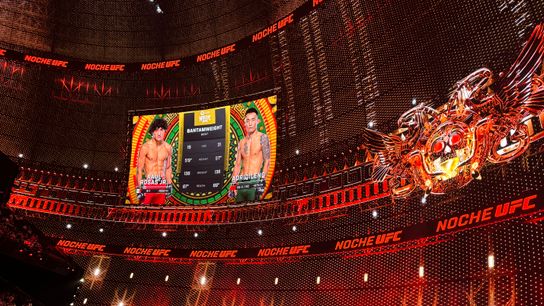 View of the wall as a preliminary fight was about to begin